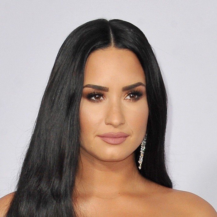 Demi Lovato Has a New Haircut!